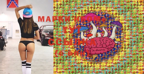 мдпв Дмитриев